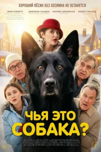  Чья это собака? 